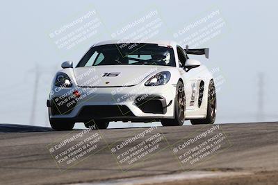 media/Jun-01-2025-PCA Golden Gate (Sun) [[9e4b10205a]]/Red/Session 1 (Grapevine)/